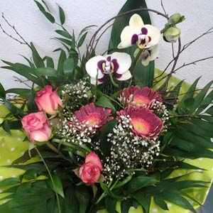 Das Blümchen - Blumen und Mehr: Blumen, Topfpflanzen, Geschenkartikel, Duftkerzen, Raumdüfte, dekorierte Blumenstöcke: Bouquet Rosen und Orchideen